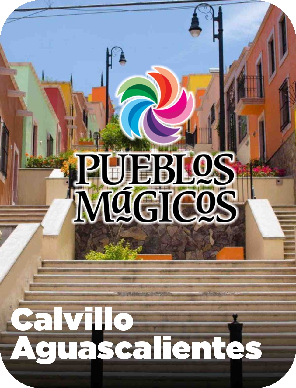 Calvillo