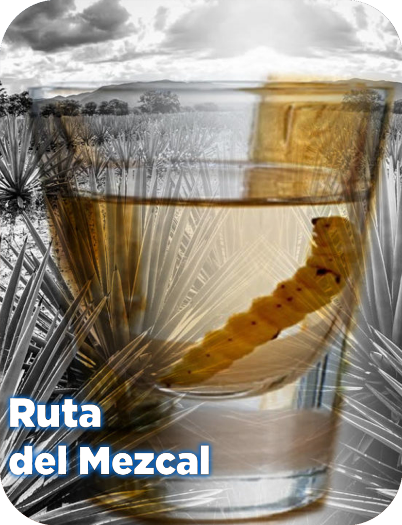 Ruta del Mezcal.