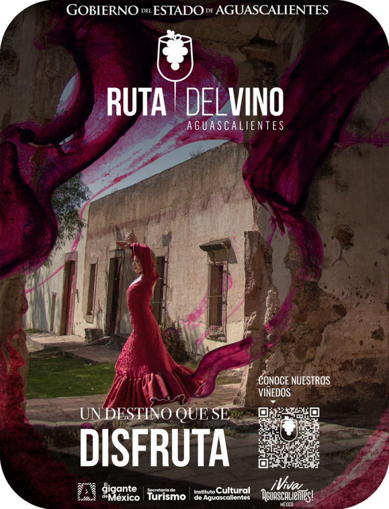 Ruta Del Vino