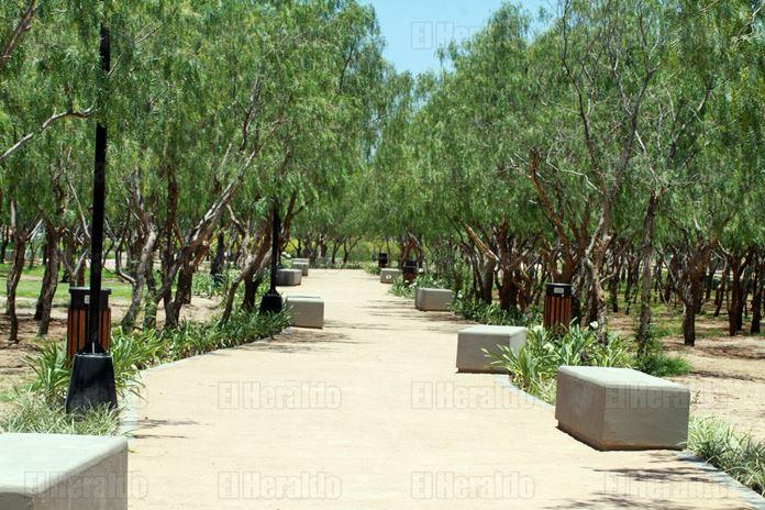 Imagen 2