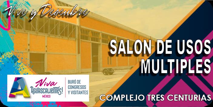 Salón usos múltiples