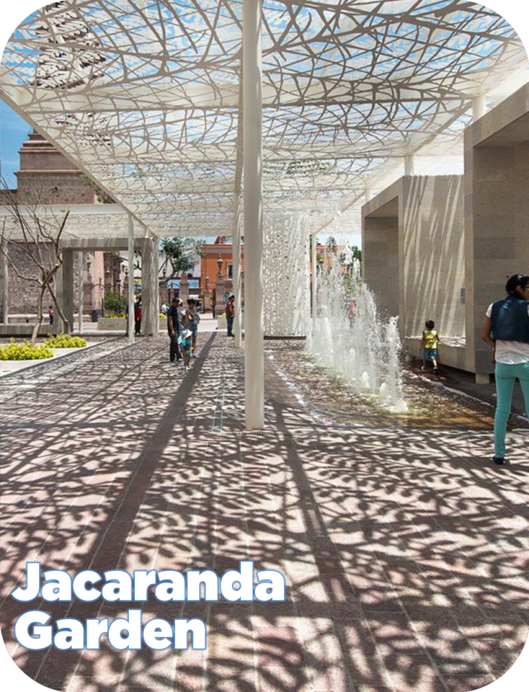 Jacaranda Garden